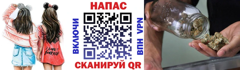 Купить где  Прохладный  Марихуана семена 